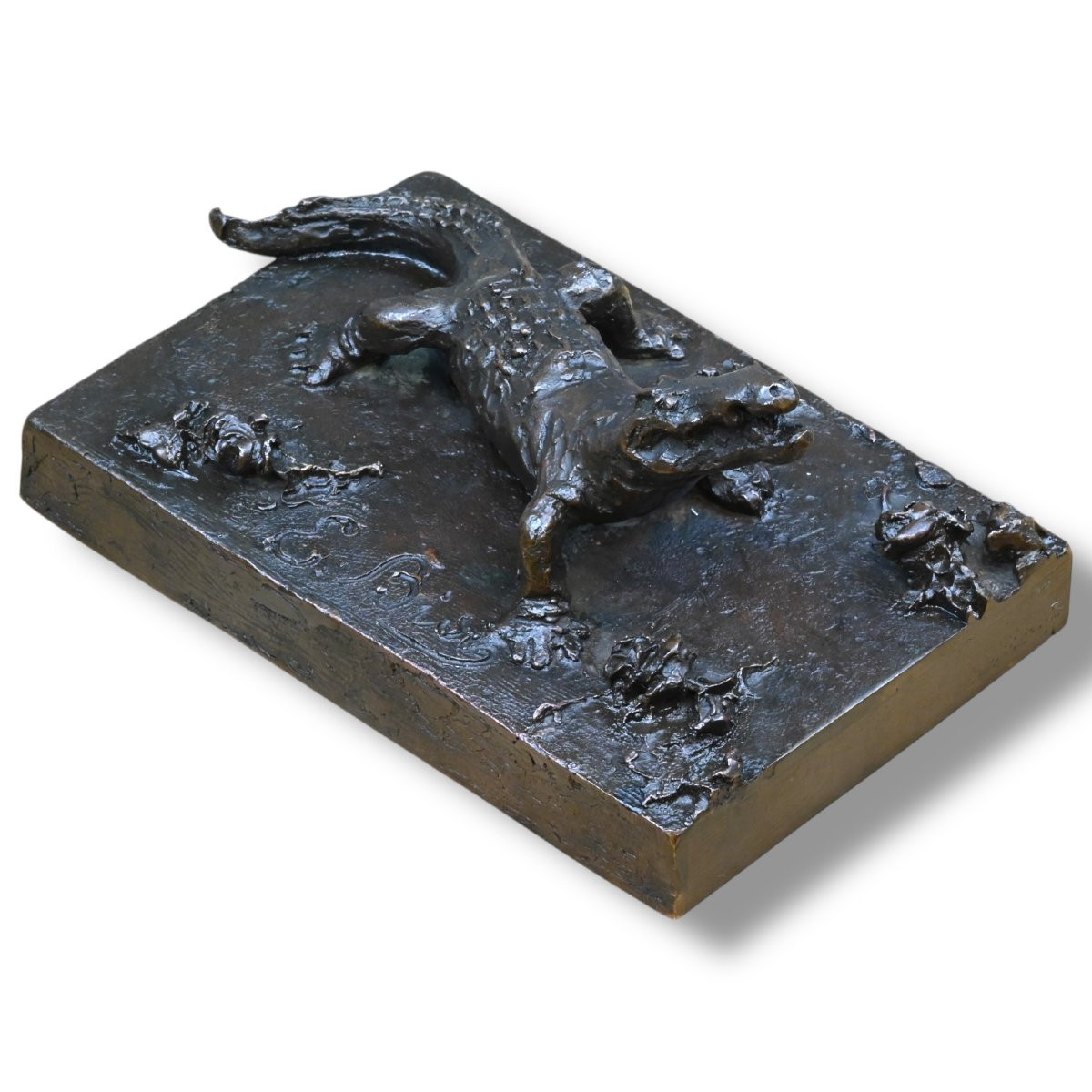 Emilio Bisi - Coccodrillo in Bronzo - Italia Fine XIX Secolo-photo-3